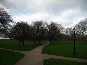 Regent's Park, Primrose Hill, és kocafutók